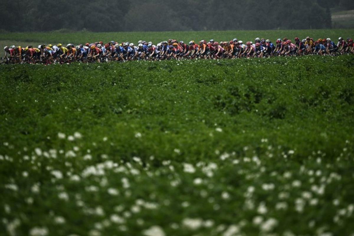 The pack of riders (peloton) compete during the 4th stage (out of 8) of the third edition of the Women's Tour de France cycling race, a 122.7 km between Valkenburg and Liege, on August 14, 2024.  JULIEN DE ROSA / AFP