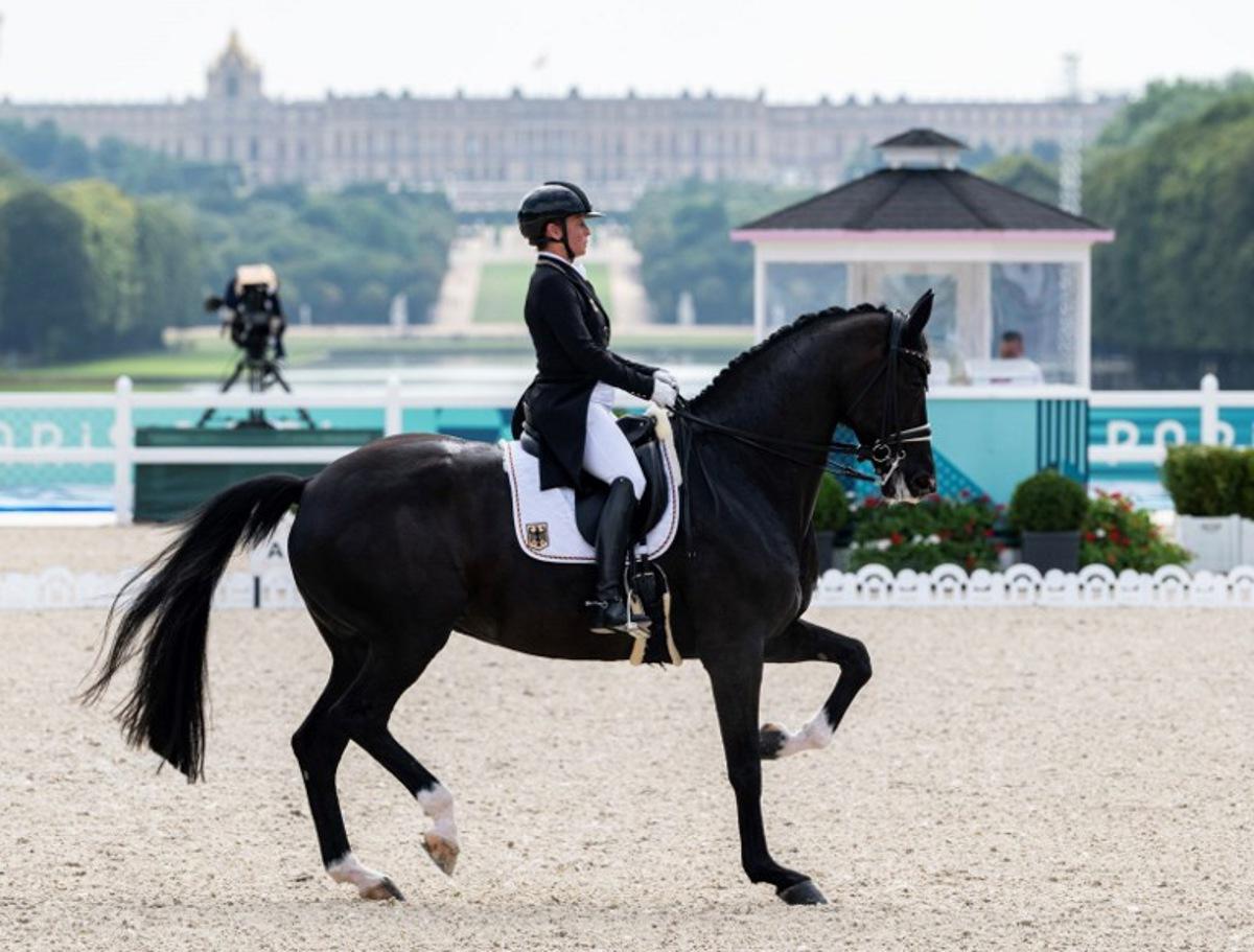 Germany's Isabell Werth with horse Wendy competes in the equestrian's dressage team grand prix day 2 during the Paris 2024 Olympic Games at the Chateau de Versailles, in Versailles, in the western outskirts of Paris, on July 31, 2024.  John MACDOUGALL / AFP