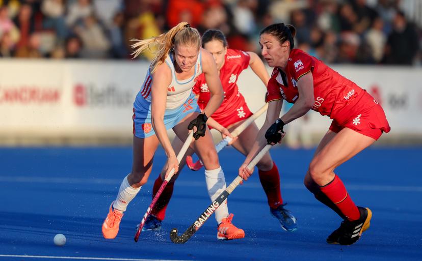 Netherlands' Noor van den Nieuwenhof and Belgium's Perrine de Clerck fight for the ball during a friendly game between Belgium national women team Red Panthers and The Netherlands, at the new Belfius Arena, in Wavre, Wednesday 01 April 2026. The stadium is the first facility of its kind in Belgium to be entirely dedicated to field hockey and will host the FIH Hockey World Cup 2026. BELGA PHOTO VIRGINIE LEFOUR