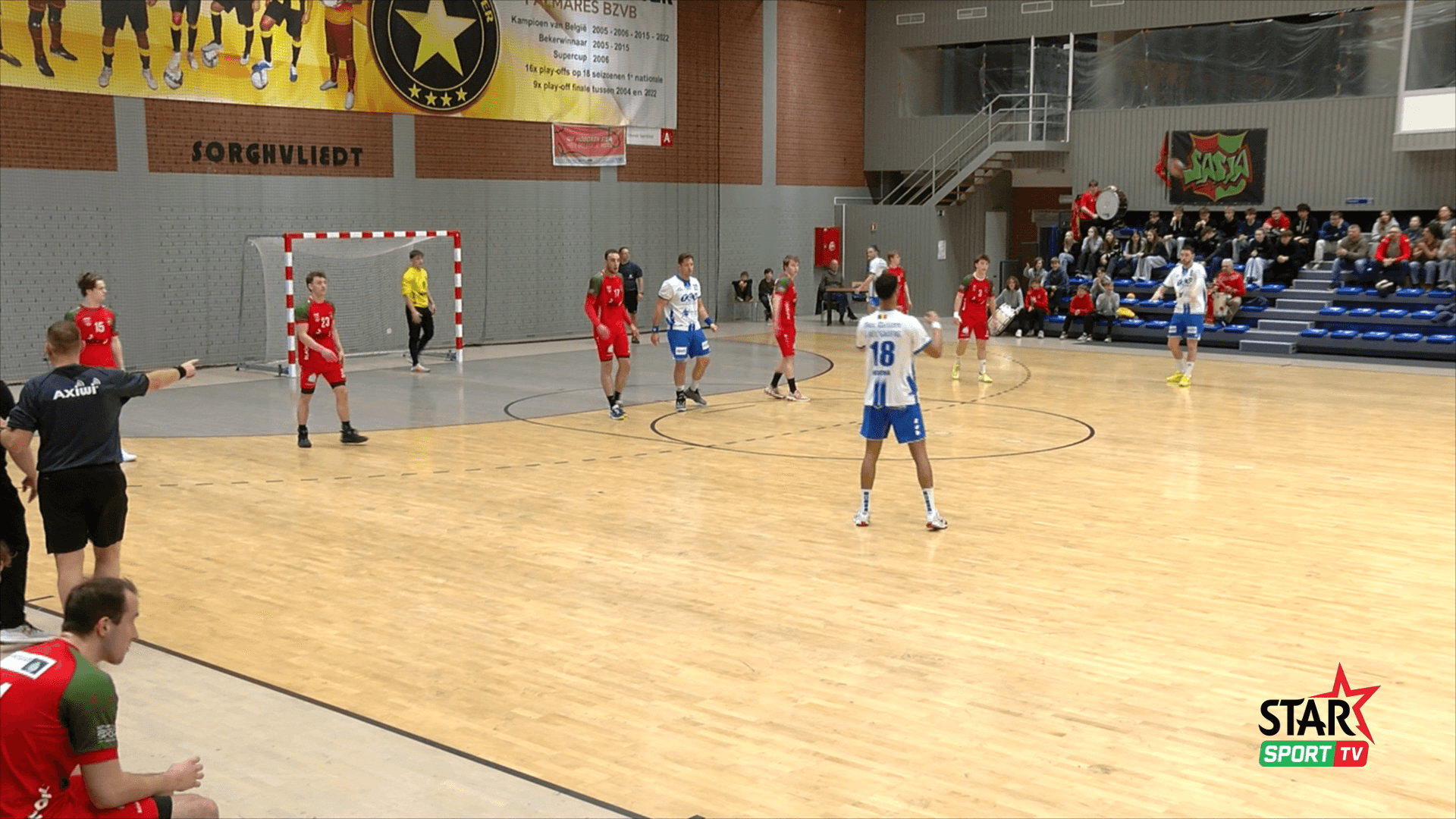 Biobest Sasja HC -  HC Visé BM    29-33