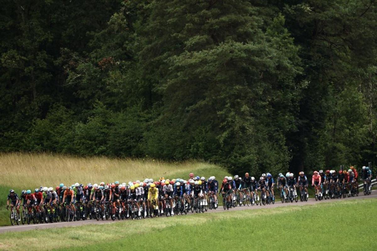 The pack of riders (peloton) cycles in the Cote d'Or department during the 8th stage of the 111th edition of the Tour de France cycling race, 183,5 km between Semur-en-Auxois and Colombey-les-deux-Eglises, on July 6, 2024.  Anne-Christine POUJOULAT / AFP