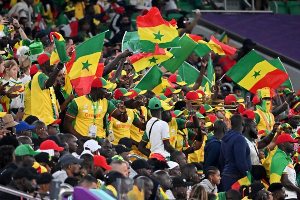 Senegal supporters wave national flags as they cheer during the Qatar 2022 World Cup Group A football match between Senegal and the Netherlands at the Al-Thumama Stadium in Doha on November 21, 2022. Alberto PIZZOLI / AFP