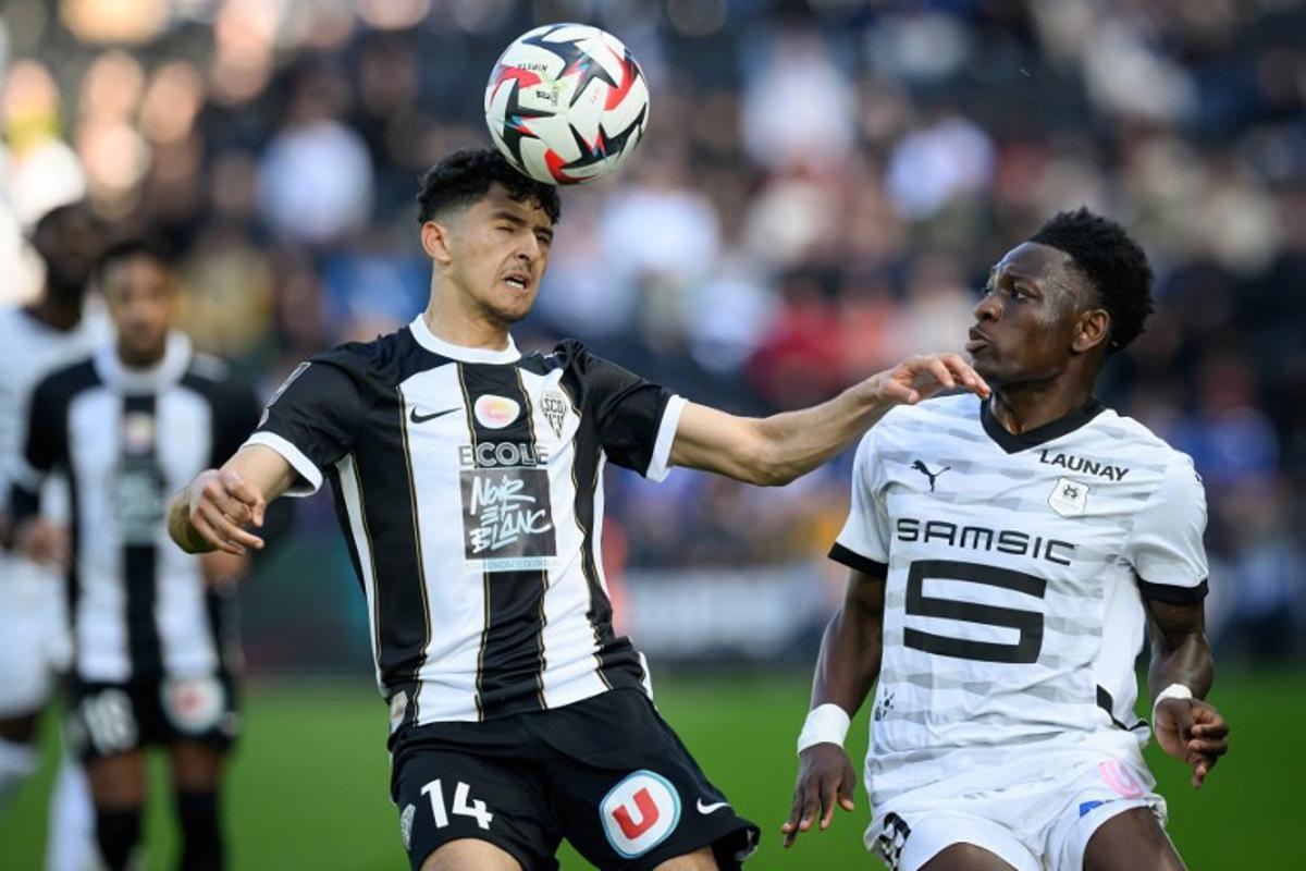 Rennes' Belgian forward #19 Kazeem Olaigbe (R) fights for the ball with Angers' Moroccan midfielder #14 Yassin Belkhdim during the French L1 football match between SCO Angers and Rennes at The Raymond-Kopa Stadium in Angers, western France on March 30, 2025. Loic VENANCE / AFP