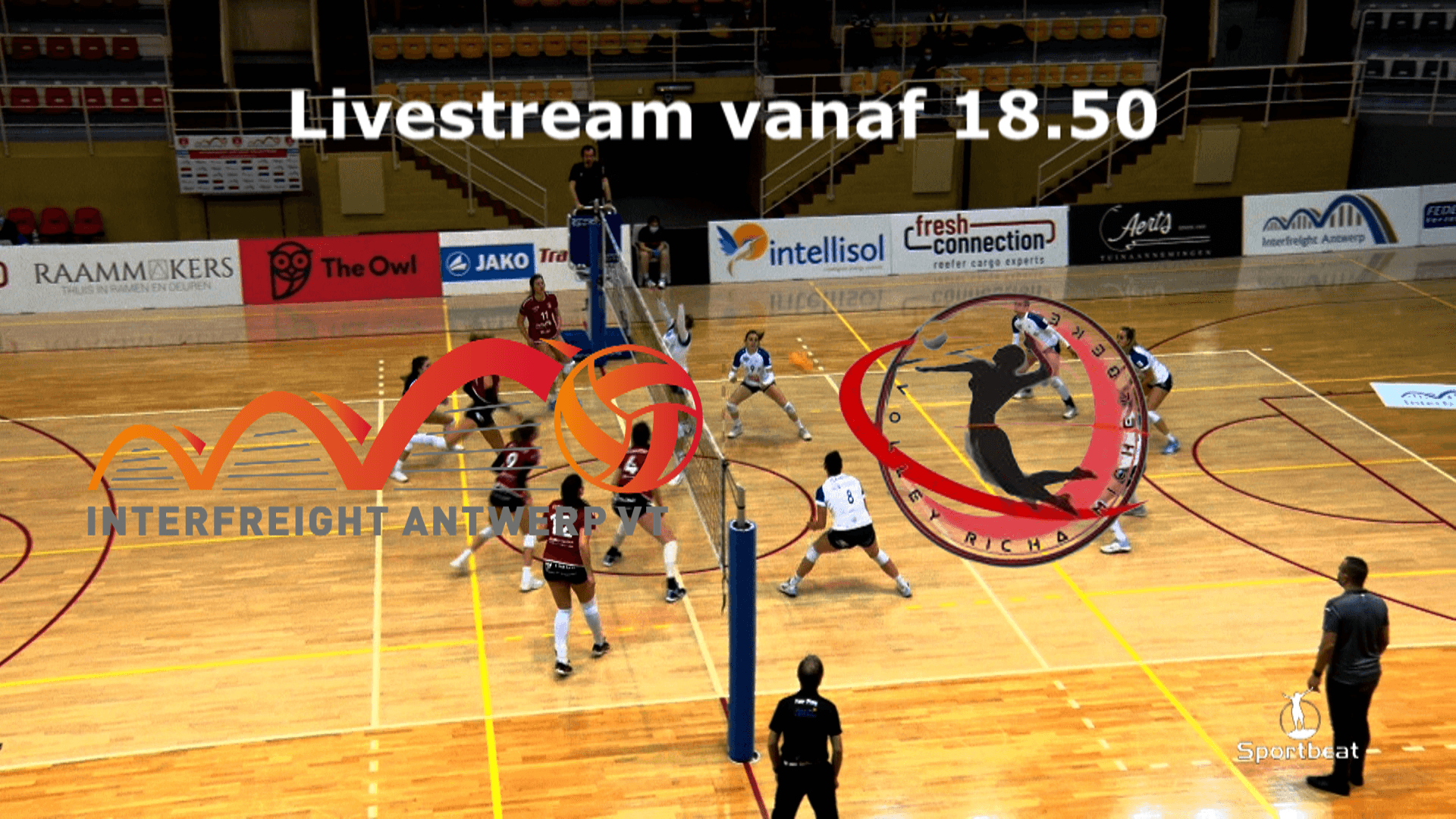 Antwerp Volley nu zaterdag live te volgen via Sportbeat...