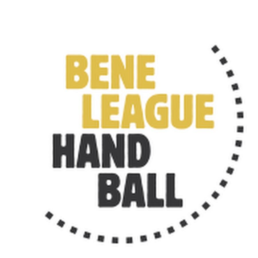 Verslag Sporting Pelt vs Limburg Lions 33 35